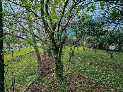 House, 1000 m²