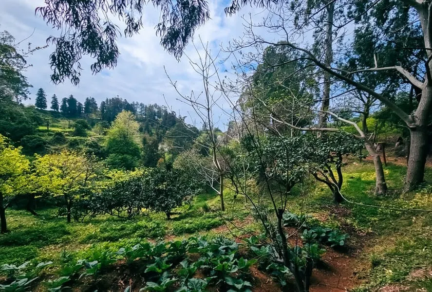 Land, 1944 m²