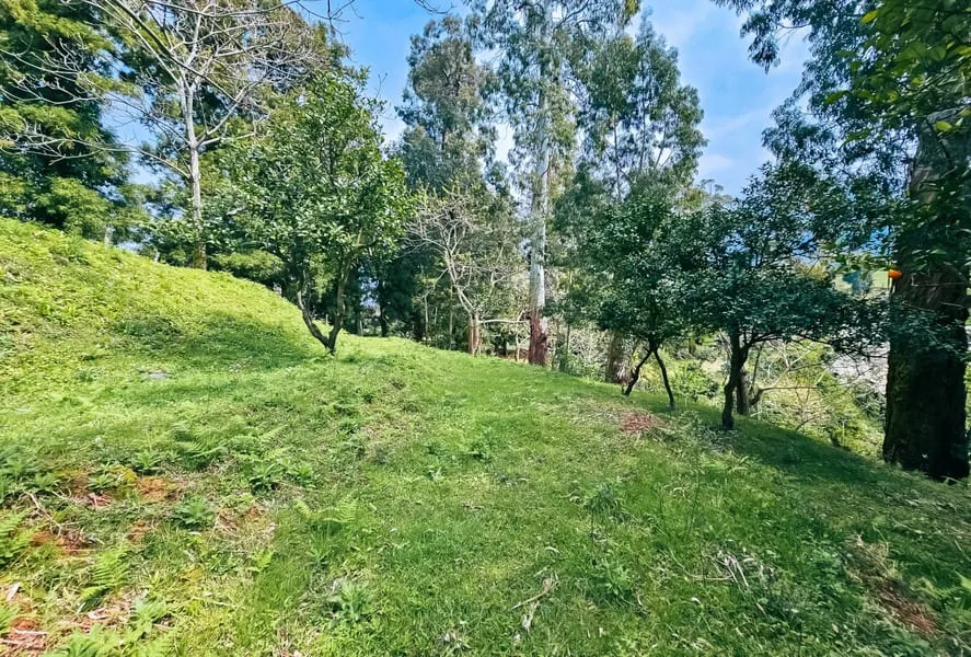 Земля, 1800 м²