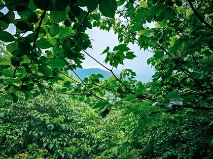 Plot, 10799 m²
