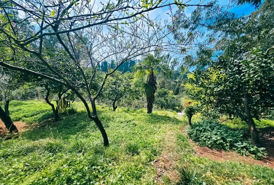 Land, 1944 m²