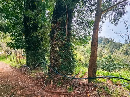 Plot, 1944 m²