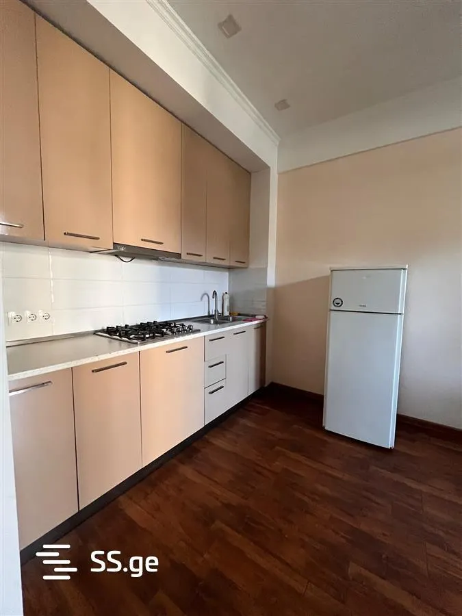 Apartment, 2-room, 55 m², Vakhtang Gorgasali St, 34b