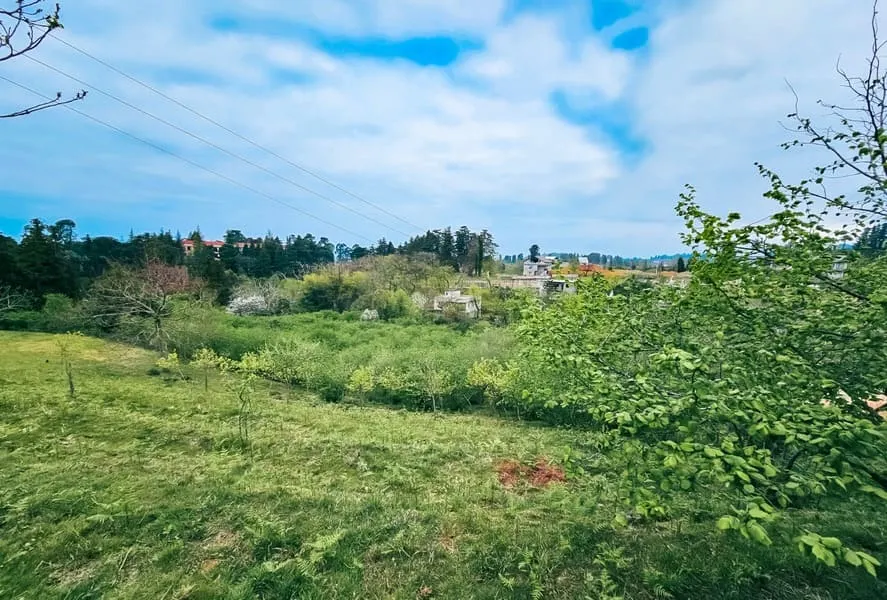 Земля, 2794 м²