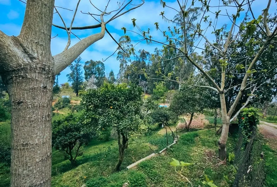 Land, 470 m²