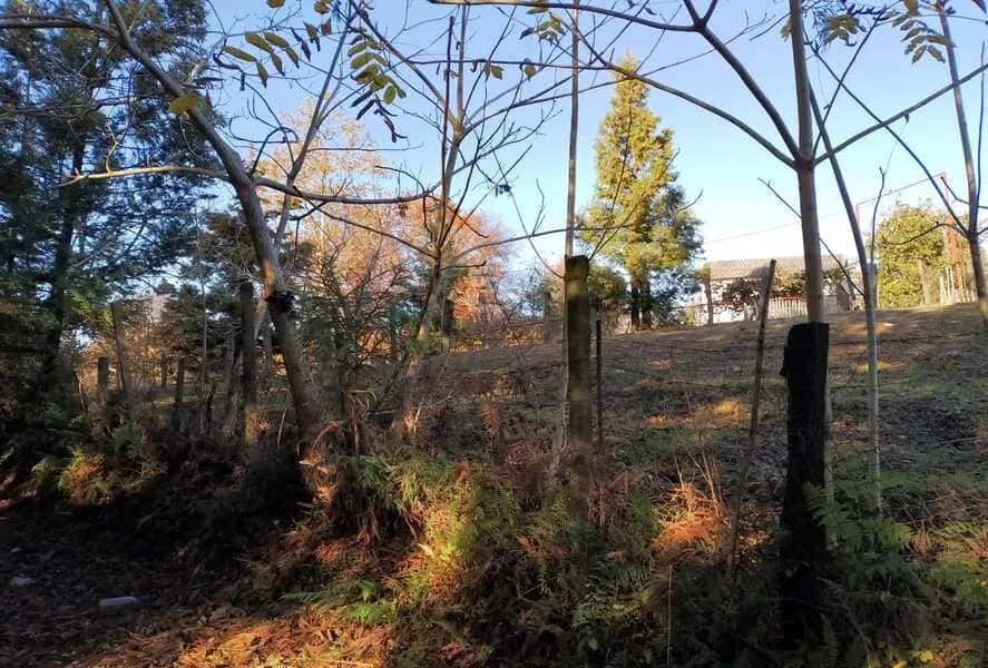 Land, 1000 m²