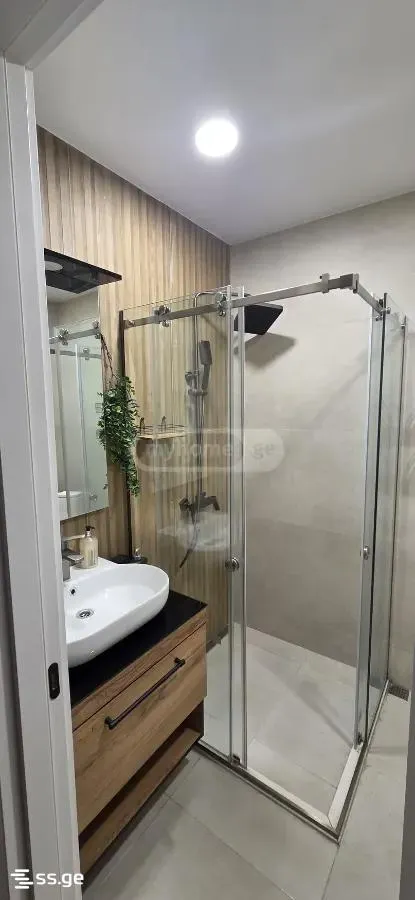 Apartment, 2-room, 50 m², Vakhtang Gorgasali St, 14
