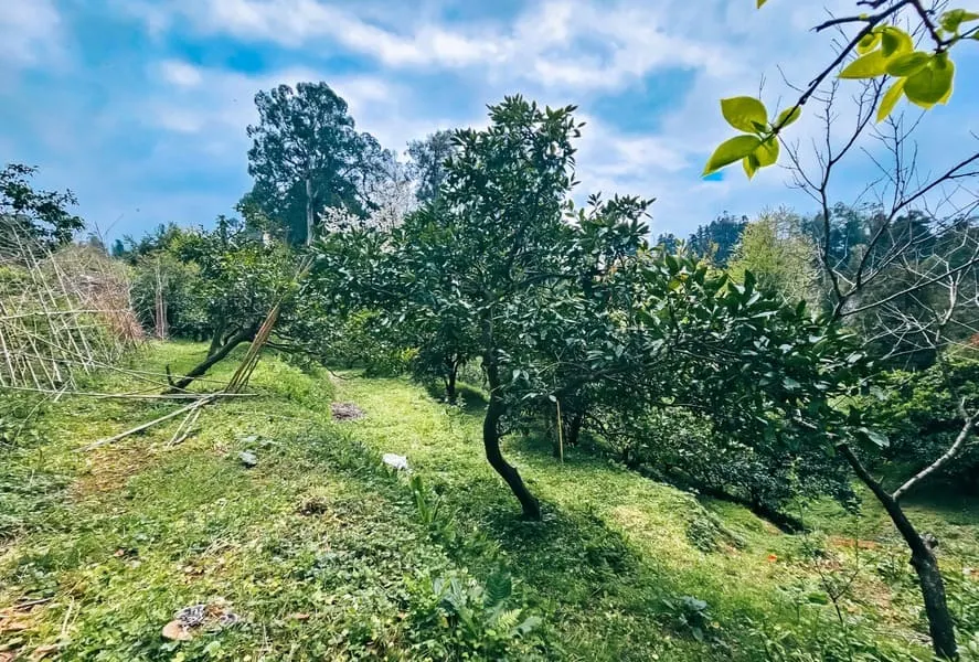Land, 1944 m²