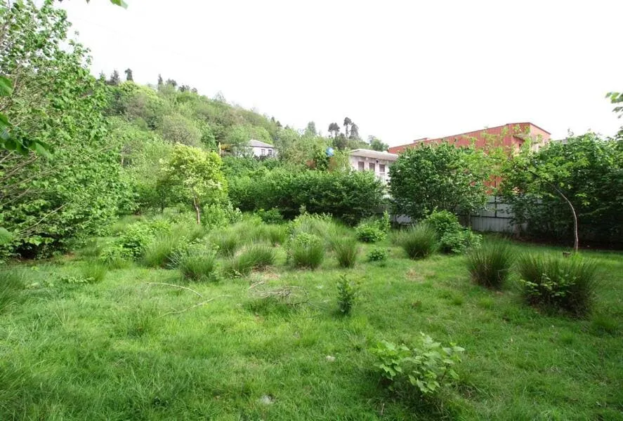 Land, 3800 m²