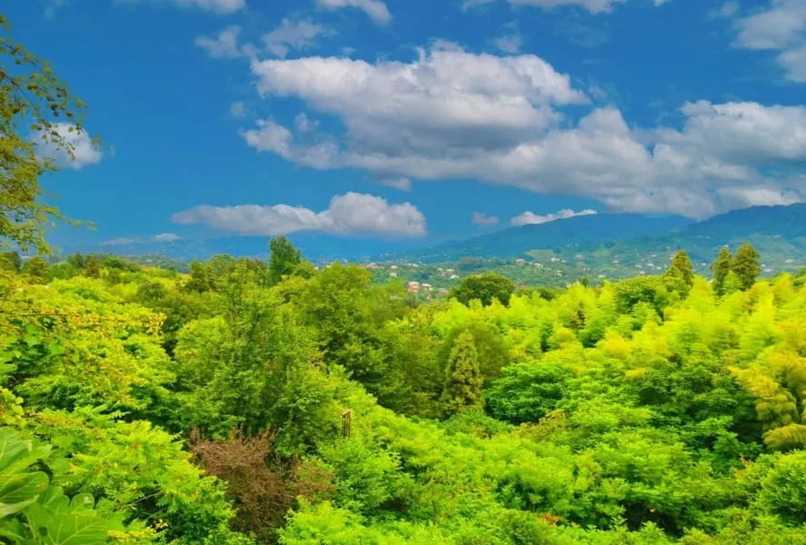 Land, 3280 m²