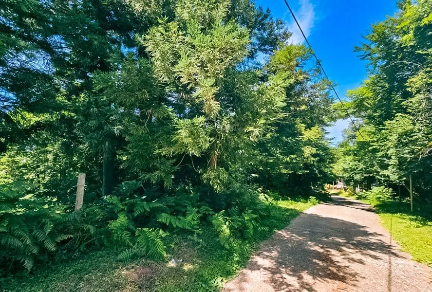 Land, 1000 m²