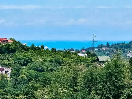 Plot, 2800 m²