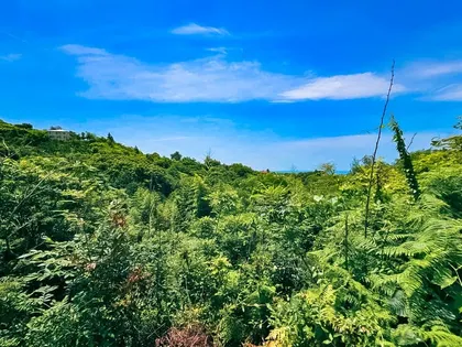 Plot, 1000 m²