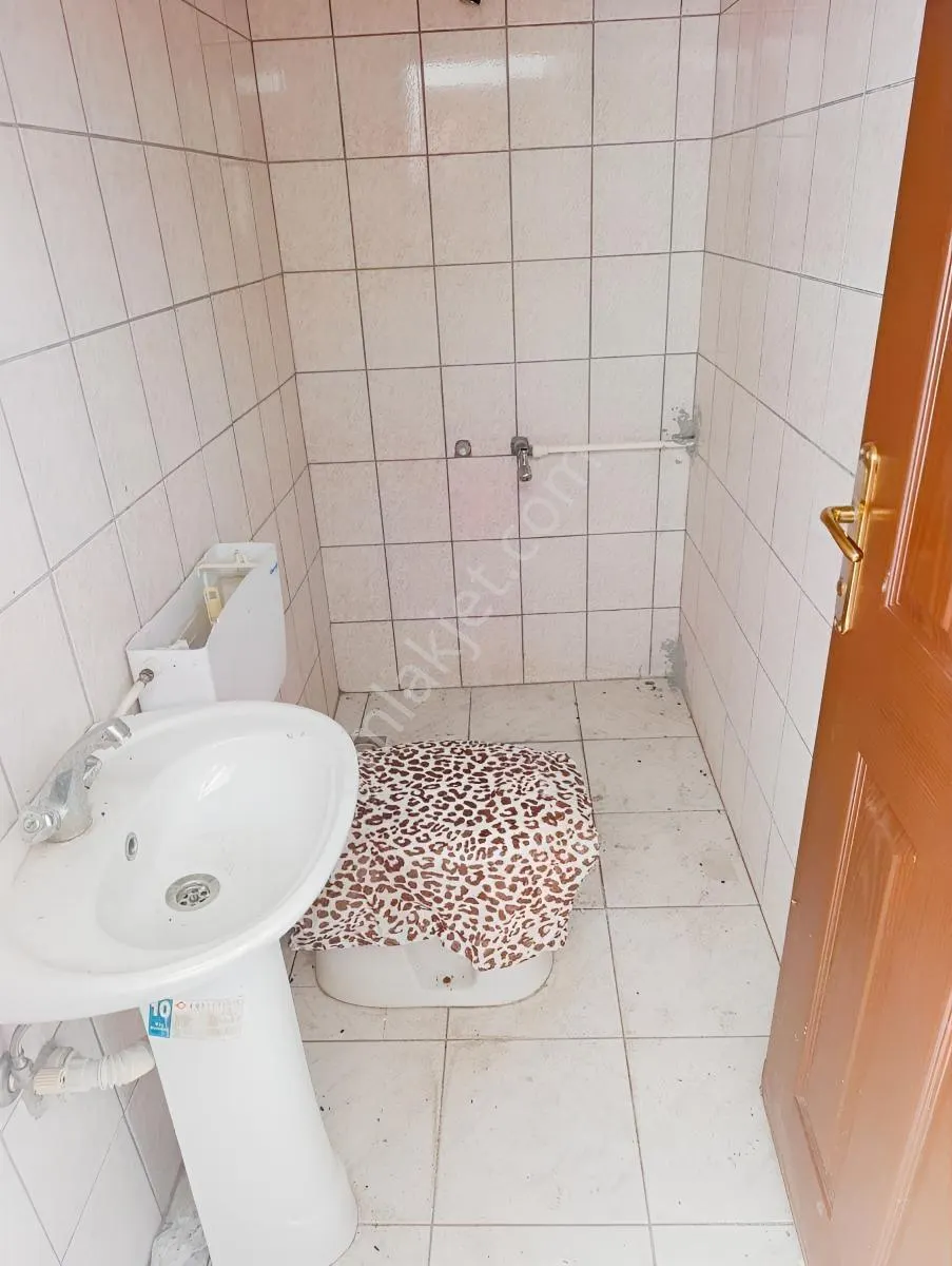 Apartment, 1-room, 20 m²