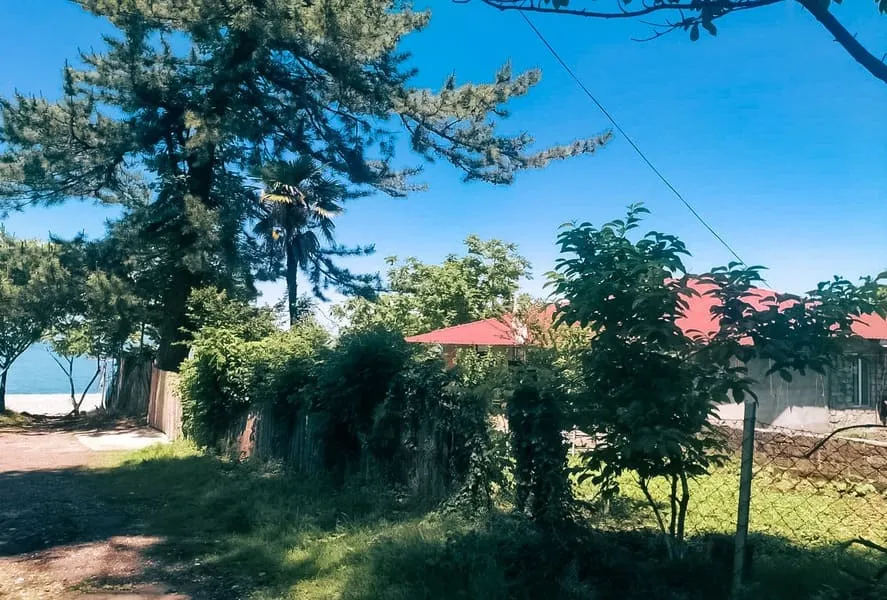 Земля, 1005 м²