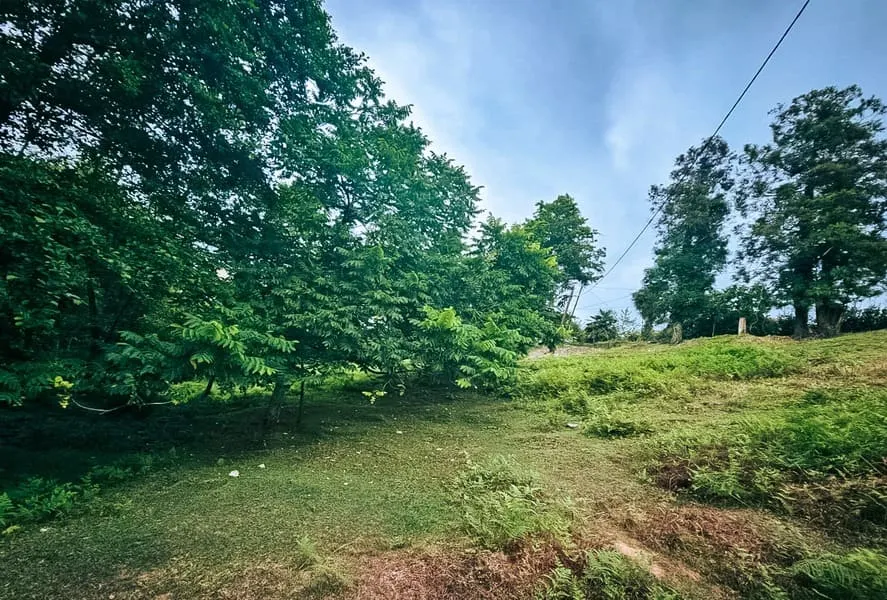 Land, 3993 m²