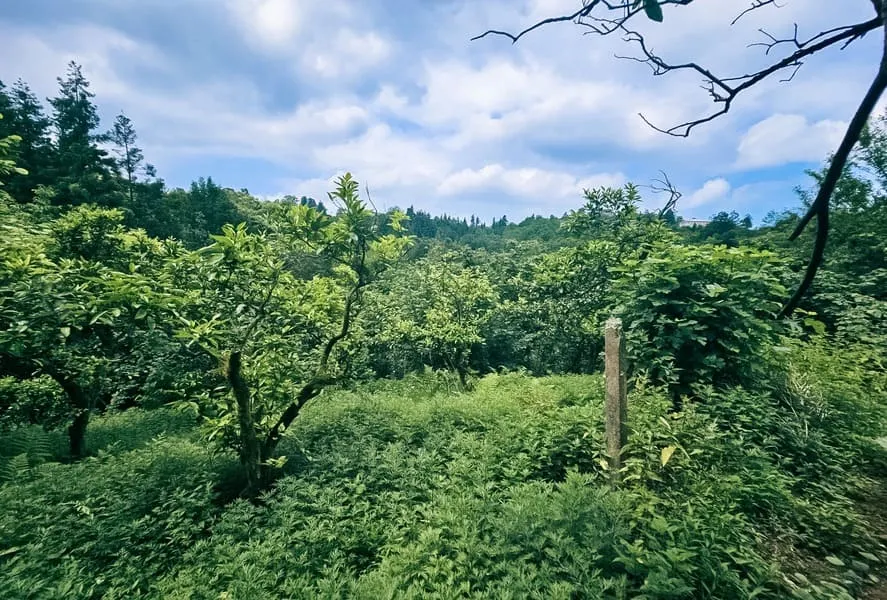 Land, 4195 m²