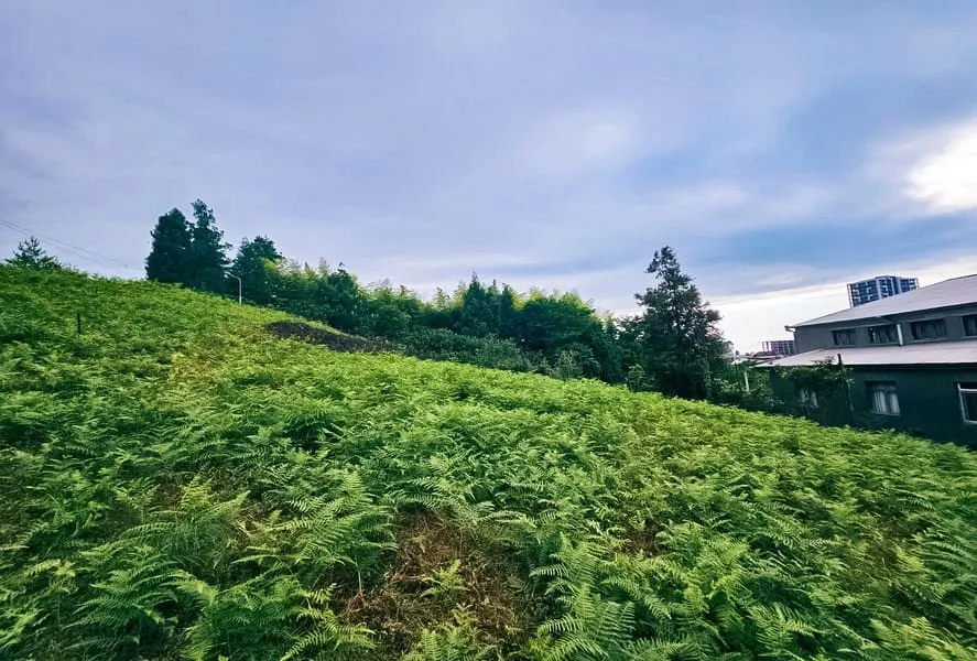 Land, 3993 m²